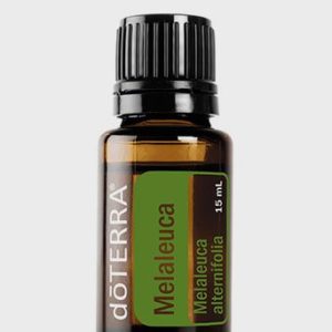 Melaleuca Essential Oil